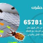 شركات مكافحة حشرات اشبيلية / 50050641 / افضل شركة مكافحة حشرات وقوارض
