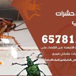 شركات مكافحة حشرات الاحمدي / 50050641 / افضل شركة مكافحة حشرات وقوارض