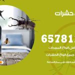 شركات مكافحة حشرات الروضة / 50050641 / افضل شركة مكافحة حشرات وقوارض
