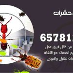 شركات مكافحة حشرات الصبية / 50050641 / افضل شركة مكافحة حشرات وقوارض