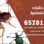 شركات مكافحة حشرات العارضية الصناعية / 50050641 / افضل شركة مكافحة حشرات وقوارض