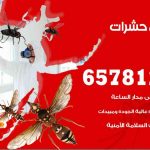 شركات مكافحة حشرات العيون / 50050641 / افضل شركة مكافحة حشرات وقوارض