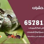 شركات مكافحة حشرات الفيحاء / 50050641 / افضل شركة مكافحة حشرات وقوارض