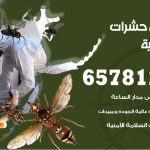 شركات مكافحة حشرات القادسية / 50050641 / افضل شركة مكافحة حشرات وقوارض