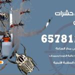 شركات مكافحة حشرات القيروان / 50050641 / افضل شركة مكافحة حشرات وقوارض