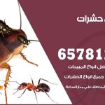 شركات مكافحة حشرات النزهة / 50050641 / افضل شركة مكافحة حشرات وقوارض