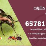 شركات مكافحة حشرات اليرموك / 50050641 / افضل شركة مكافحة حشرات وقوارض