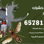 شركات مكافحة حشرات بنيد القار / 50050641 / افضل شركة مكافحة حشرات وقوارض