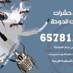 شركات مكافحة حشرات شاليهات الدوحة / 50050641 / افضل شركة مكافحة حشرات وقوارض