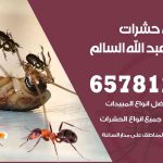 شركات مكافحة حشرات ضاحية عبدالله السالم / 50050641 / افضل شركة مكافحة حشرات وقوارض
