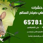 شركات مكافحة حشرات ضاحية علي صباح السالم / 50050641 / افضل شركة مكافحة حشرات وقوارض
