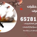 شركات مكافحة حشرات غرب مشرف / 50050641 / افضل شركة مكافحة حشرات وقوارض