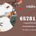 شركات مكافحة حشرات مشرف / 50050641 / افضل شركة مكافحة حشرات وقوارض