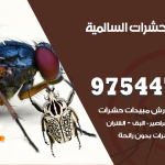 مكافحة حشرات وقوارض السالمية / 50050647 / شركة رش حشرات خصم 50%