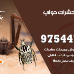 مكافحة حشرات وقوارض حولي / 50050647 / شركة رش حشرات خصم 50%