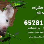 شركات مكافحة حشرات ميناء عبدالله / 50050641 / افضل شركة مكافحة حشرات وقوارض
